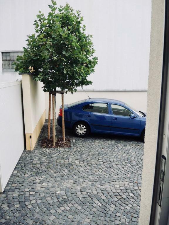 Modernes Apartment - Neustadt/Weinstrasse Stadt Neustadt an der Weinstrasse Ngoại thất bức ảnh
