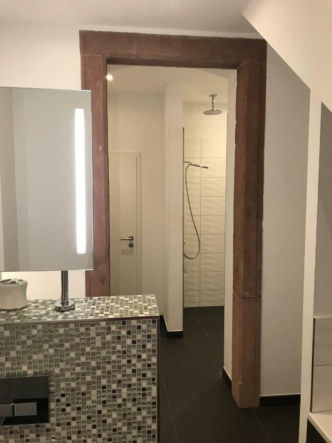 Modernes Apartment - Neustadt/Weinstrasse Stadt Neustadt an der Weinstrasse Ngoại thất bức ảnh